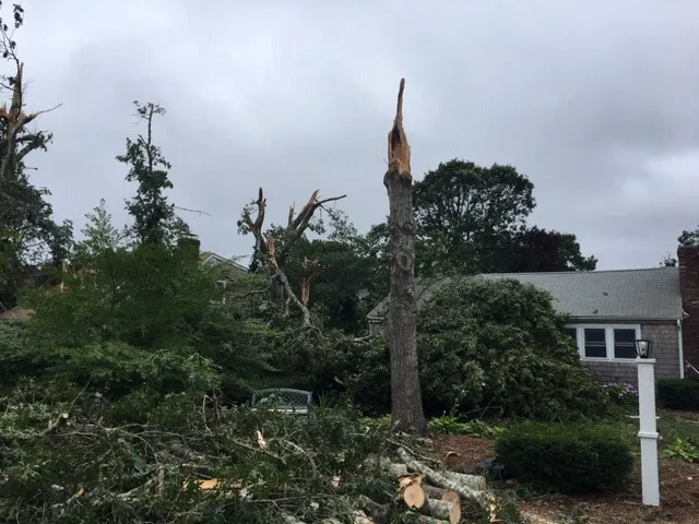 Disaster Specialists Picture 6