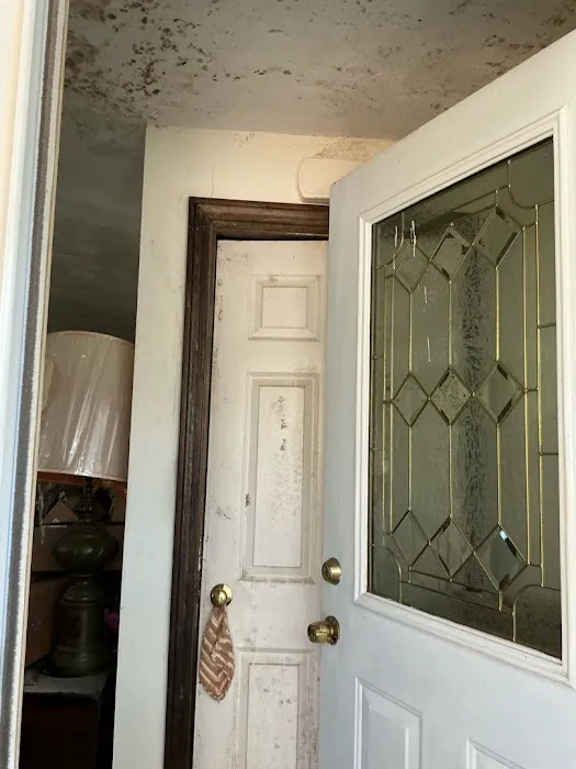 Disaster Specialists Picture 1