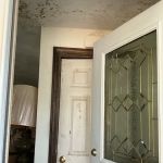 Disaster Specialists