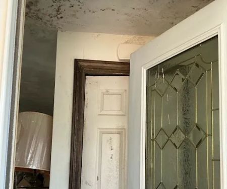 Disaster Specialists