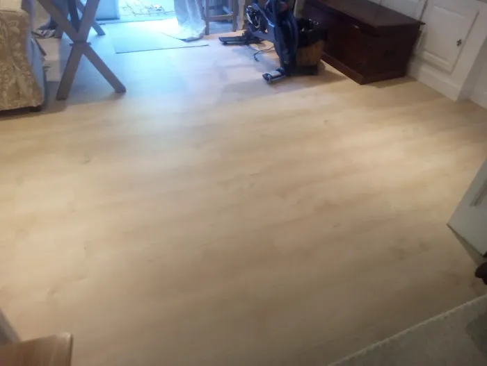 ServiceMaster South Shore Picture 2