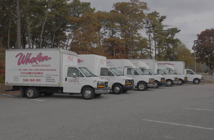 Whalen Restoration Services Inc. Picture 3