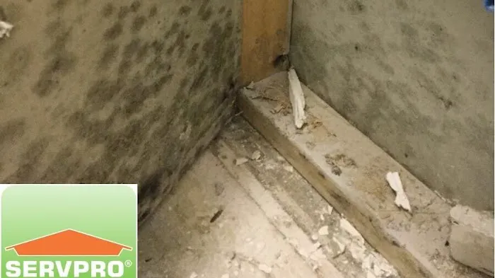 SERVPRO of Martha's Vineyard Picture 4