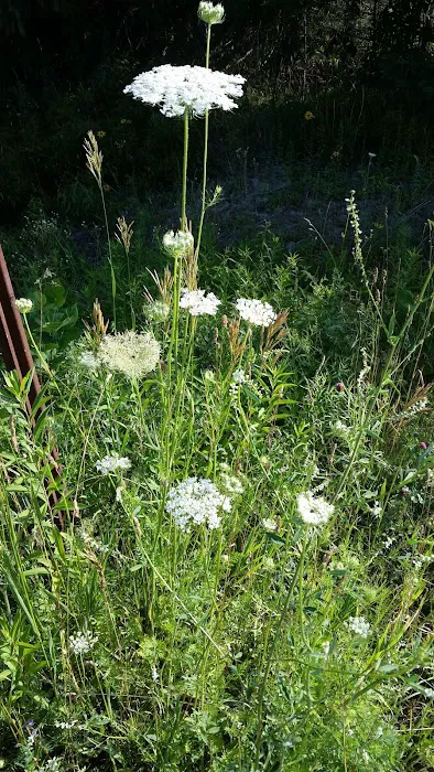 Dry Masters of Maine Picture 1