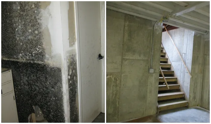 Advance 1 Cleaning Services Picture 9