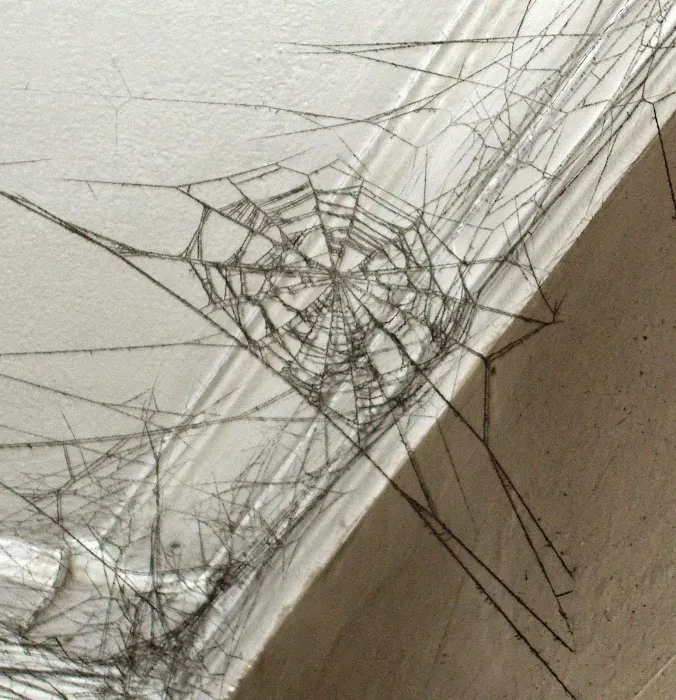 Advance 1 Cleaning Services Picture 4