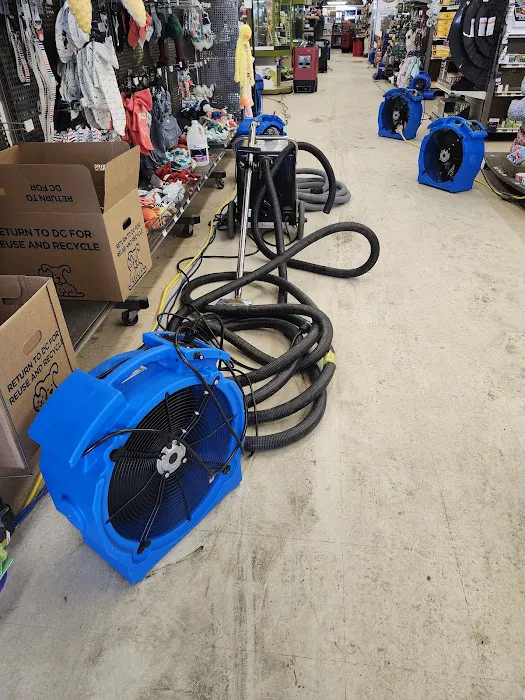 Octagon Cleaning and Restoration Picture 2