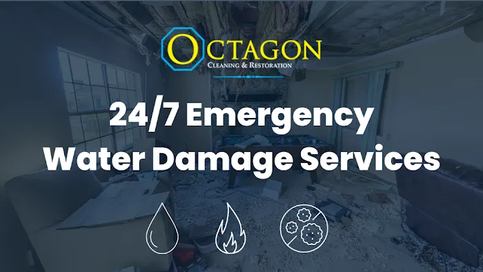 Octagon Cleaning and Restoration Picture 3