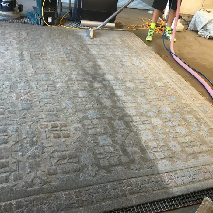 The Carpet Solution Inc. Picture 4