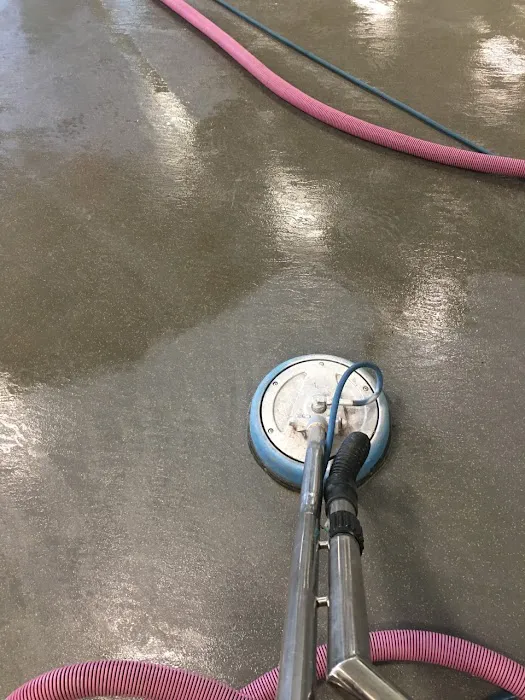 The Carpet Solution Inc. Picture 2