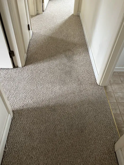 The Carpet Solution Inc. Picture 9