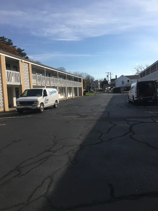 The Carpet Solution Inc. Picture 8