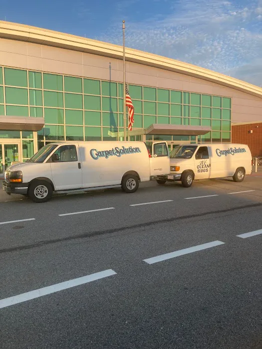 The Carpet Solution Inc. Picture 3