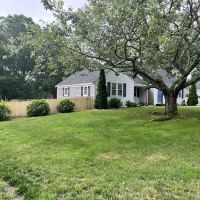 Mr. Painting and More INC ico