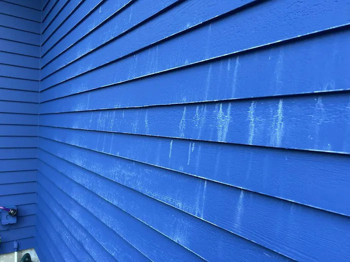 Stewart Painting Picture 4