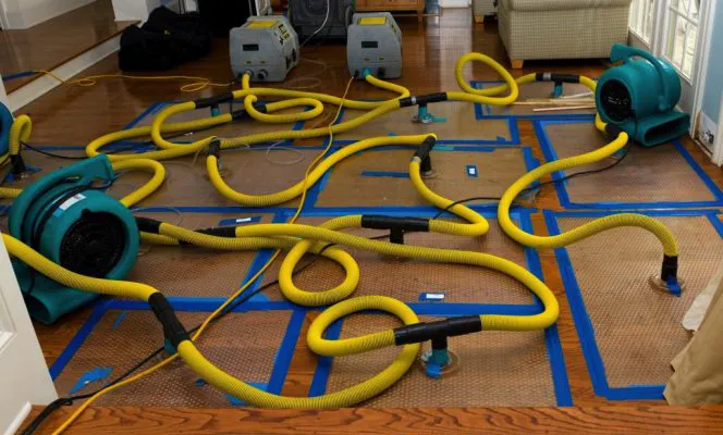 Integral Restoration Picture 2