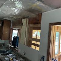 Integral Restoration ico