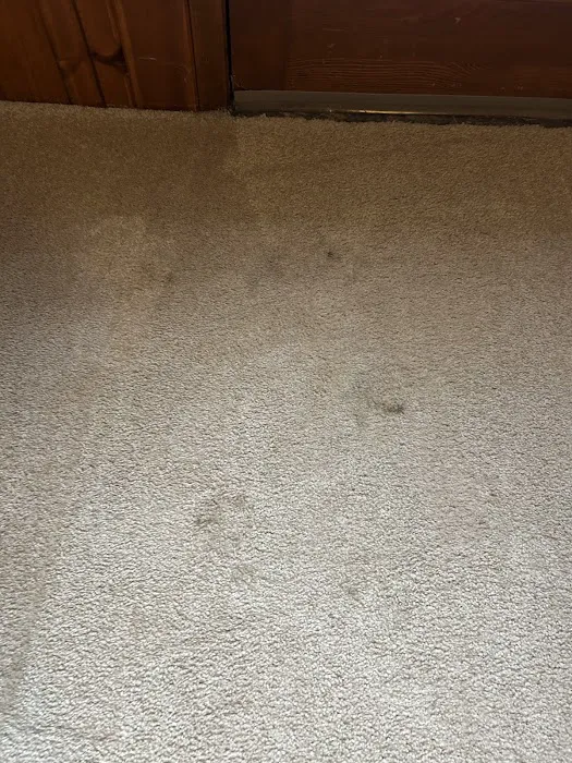 COIT Cleaning and Restoration Picture 3