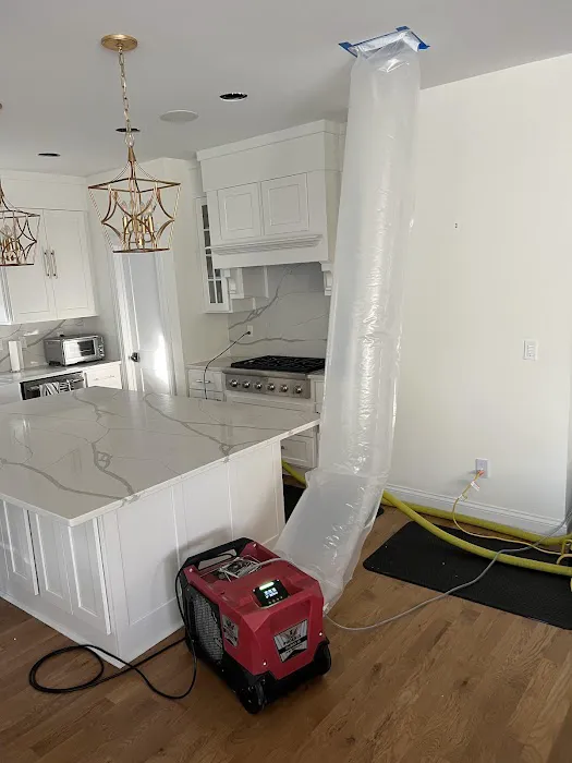 Integral Restoration Picture 1