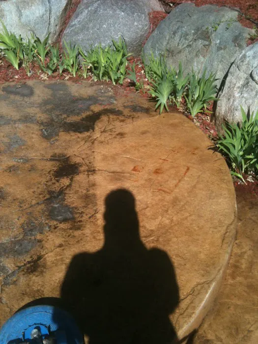 SOS Cleaning and Restoration Picture 6