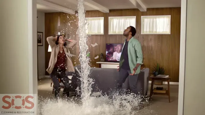 SOS Cleaning and Restoration Picture 8