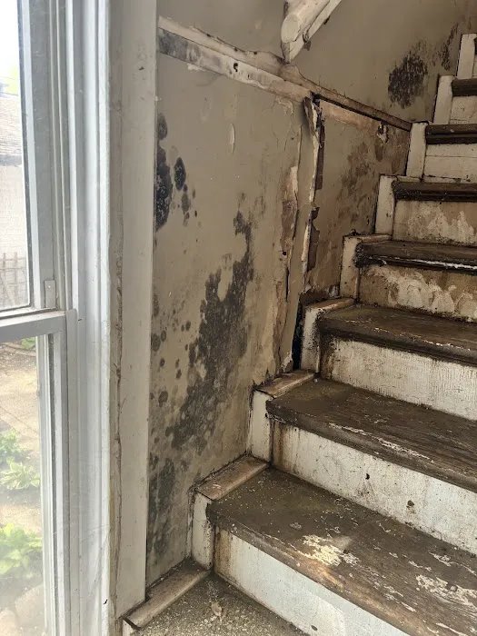 SOS Cleaning and Restoration Picture 4