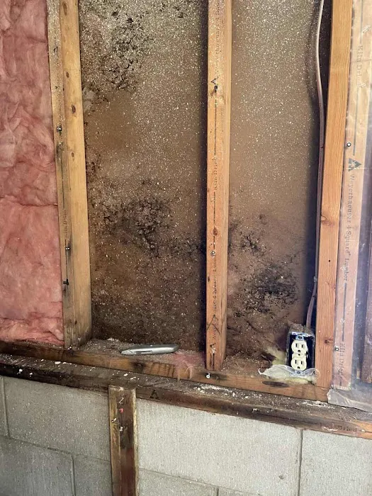 All Pro Restoration and Cleaning Picture 1