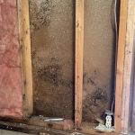 All Pro Restoration and Cleaning