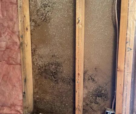 All Pro Restoration and Cleaning