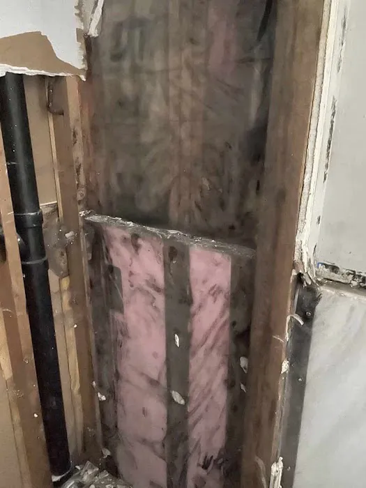 All Pro Restoration and Cleaning Picture 4