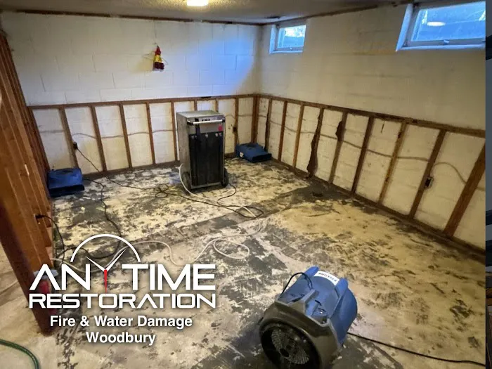 Anytime Restoration Fire & Water Damage Woodbury Picture 9