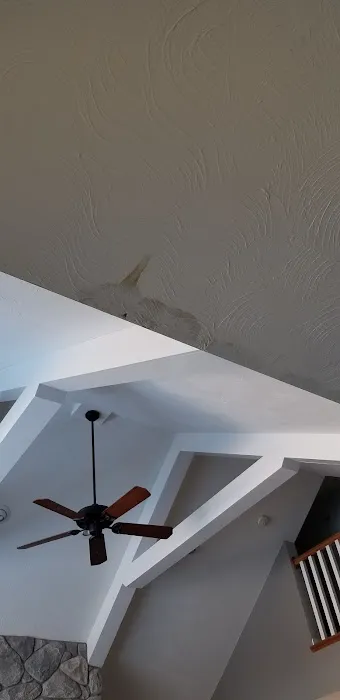 Dan Patch Carpet Cleaning & Restoration Picture 7