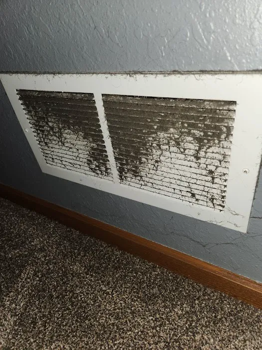 Dan Patch Carpet Cleaning & Restoration Picture 10