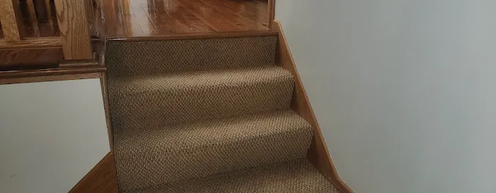 Dan Patch Carpet Cleaning & Restoration Picture 8