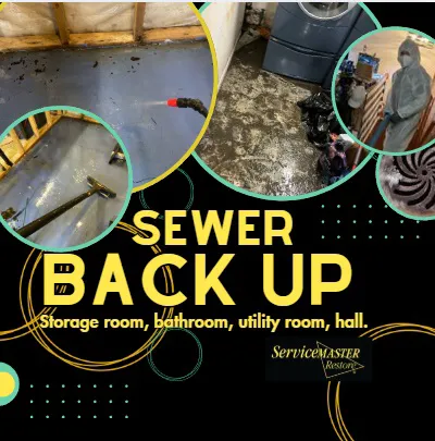 ServiceMaster of Minneapolis Picture 3