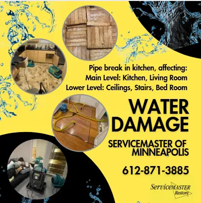 ServiceMaster of Minneapolis Picture 7