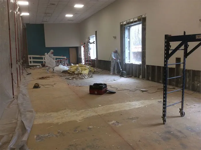 Certified Mold Removal Inspection and Testing Minneapolis MN Picture 3