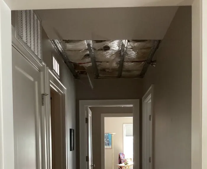 SERVPRO of Downtown Minneapolis/Team Bates & Hogan Picture 8