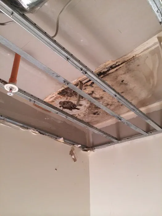 Water Damage Minneapolis Picture 4