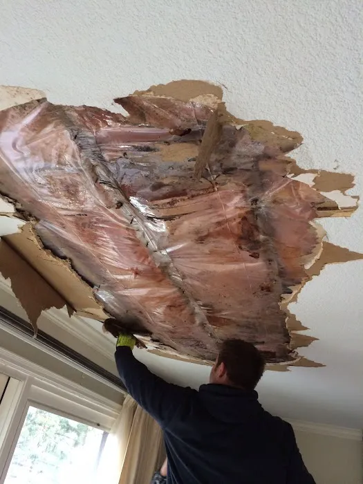 Water Damage Minneapolis Picture 9