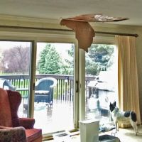 Water Damage Minneapolis ico