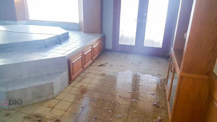 Rapid Restoration DKI Picture 8