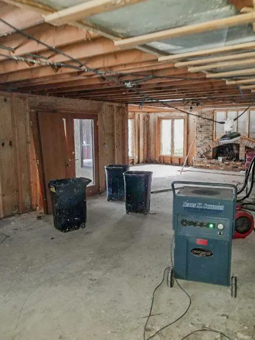 Rapid Restoration DKI Picture 5