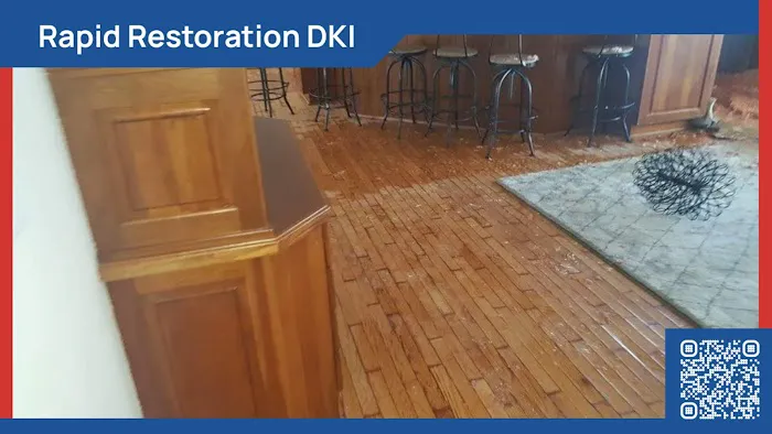 Rapid Restoration DKI Picture 2