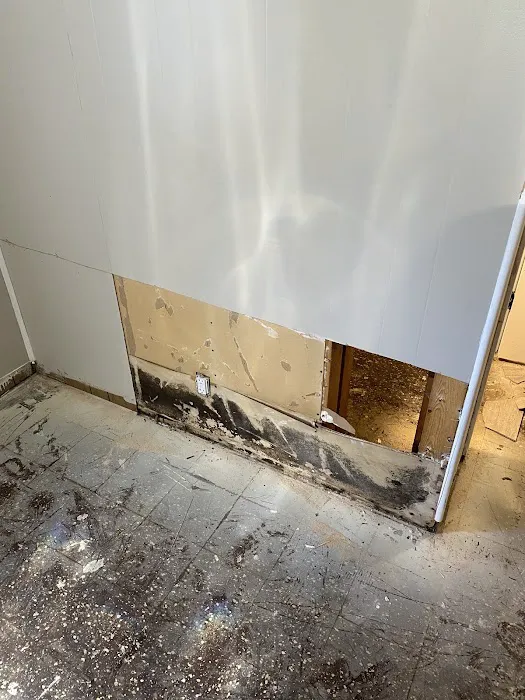 All Dry Services Twin Cities Picture 8