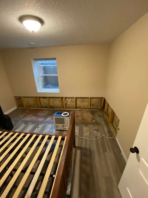 All Dry Services Twin Cities Picture 7