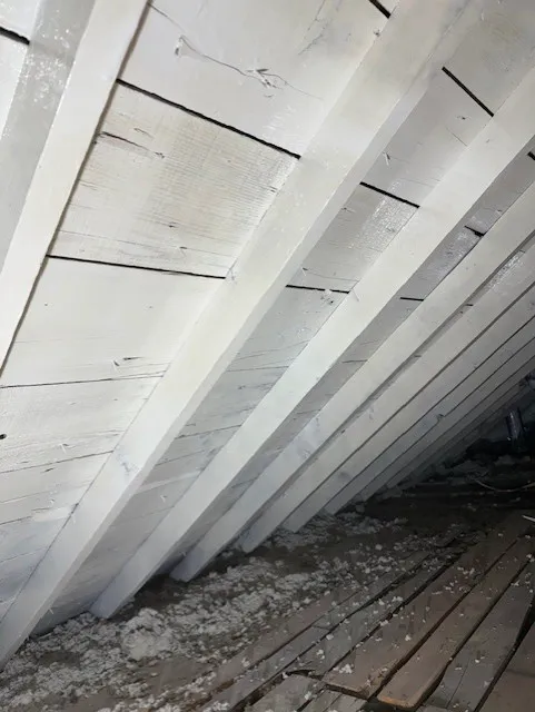 All Dry Services Twin Cities Picture 2