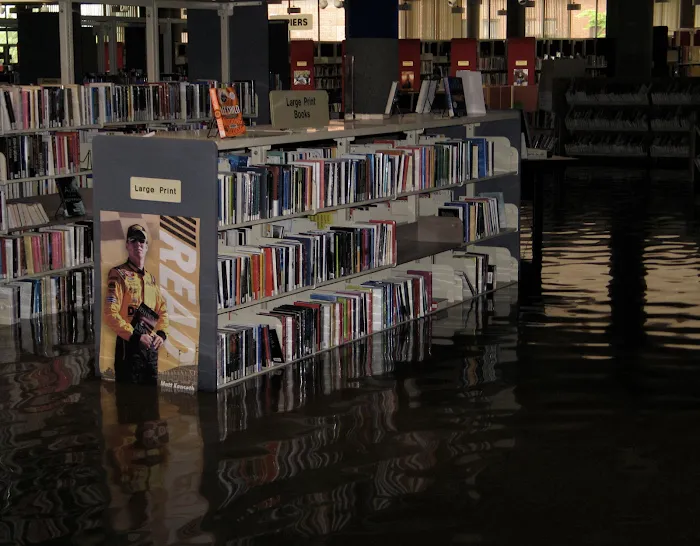 Insight Restoration Picture 10