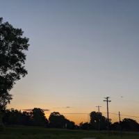 Insight Restoration ico