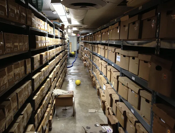 Insight Restoration Picture 4